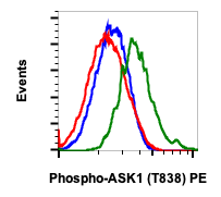 Phospho-Ask1 (Thr838) (Clone: 8D12) rabbit mAb PE Conjugate