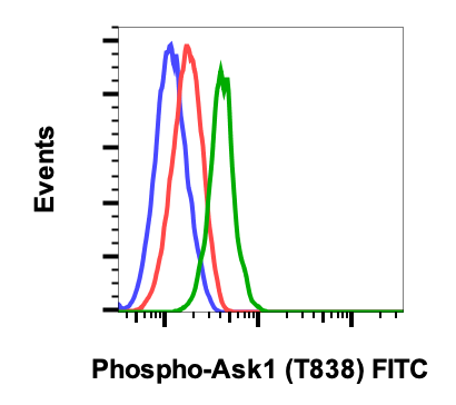 Phospho-Ask1 (Thr838) (Clone: 8D12) rabbit mAb FITC Conjugate