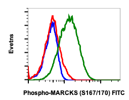 Phospho-MARCKS (Ser167/170) (Clone: C9) rabbit mAb FITC conjugate