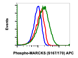 Phospho-MARCKS (Ser167/170) (Clone: C9) rabbit mAb APC conjugate