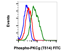 Phospho-PKC (pan) (Clone: gamma Thr514) (Clone: PF4) rabbit mAb FITC conjugate