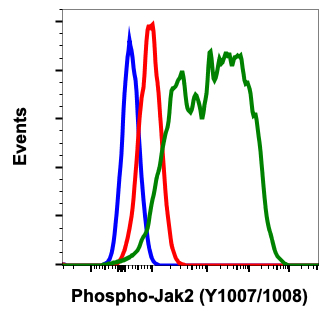 Phospho-Jak2 (Tyr1007/1008) (Clone: PB6) rabbit mAb