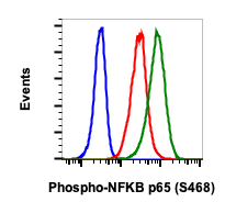 Phospho-NFKB p65 (Ser468) (Clone: B9) rabbit mAb