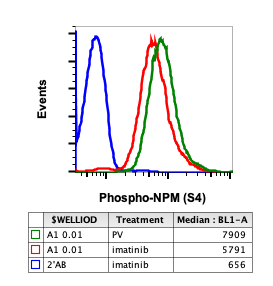 Phospho-NPM (Ser4) (Clone: A1) rabbit mAb