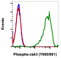 Phospho-Jak3 (Tyr980/981) (Clone: E10) rabbit mAb