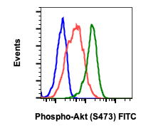 Phospho-Akt1 (Ser473) (Clone: B9) rabbit mAb FITC conjugate