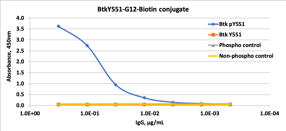 Phospho-Btk (Tyr551) (Clone: G12) rabbit mAb Biotin conjugate