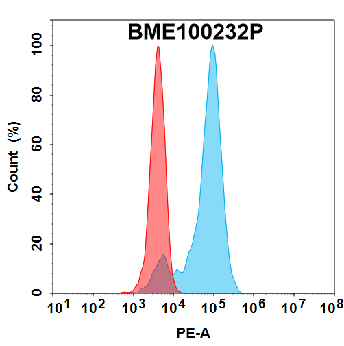 PE-conjugated Anti-CDH6(raludotatug biosimilar) mAb PE-conjugated Anti-CDH6(raludotatug biosimilar) mAb