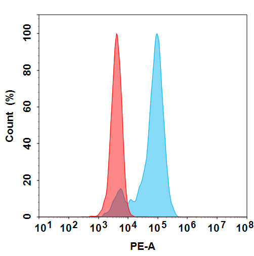 PE-conjugated Anti-CDH6(raludotatug biosimilar) mAb