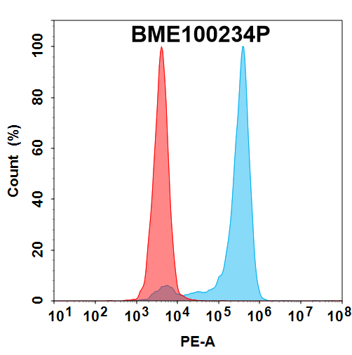 PE-conjugated Anti-CDH6(AMT-707 biosimilar) mAb