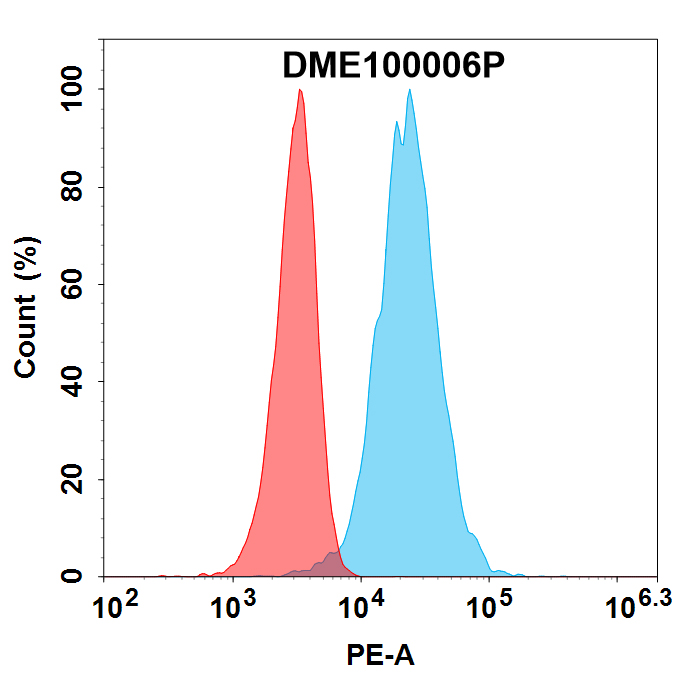 PE-conjugated Anti-BCMA antibody(DM6); Rabbit mAb