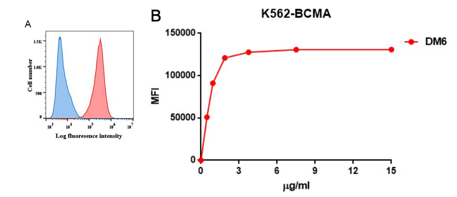 Anti-BCMA antibody(DM6), Rabbit mAb