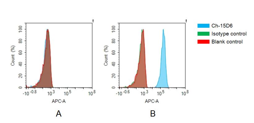 Anti-ACVR2A antibody(15D6), IgG1 Chimeric mAb