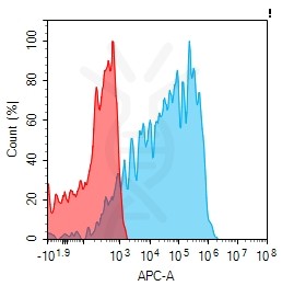 Anti-GPR56 antibody(2H4), Rabbit mAb
