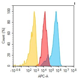Anti-CD9 antibody(2G3), Rabbit mAb