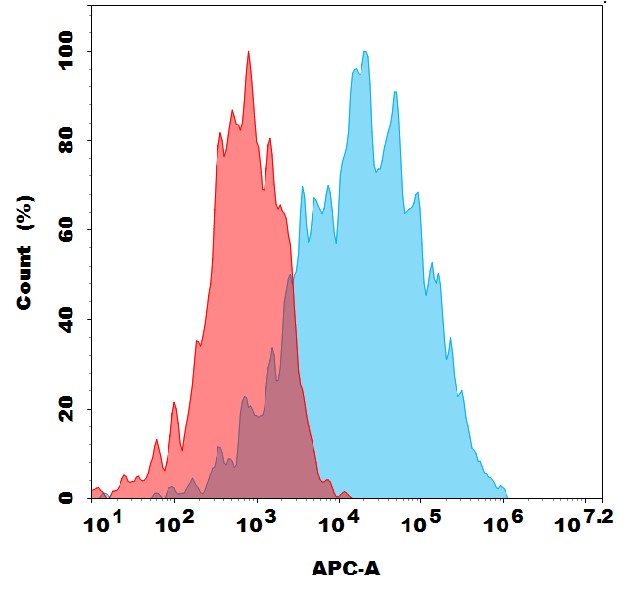 Anti-APLP2 antibody(1F12), Rabbit mAb