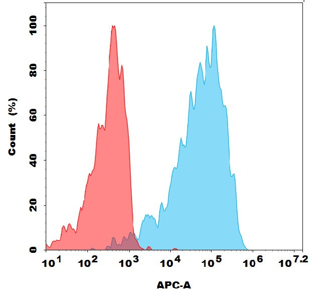 Anti-GLP1R antibody(1A4), Rabbit mAb