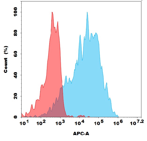 Anti-ECSCR antibody(1A7), Rabbit mAb