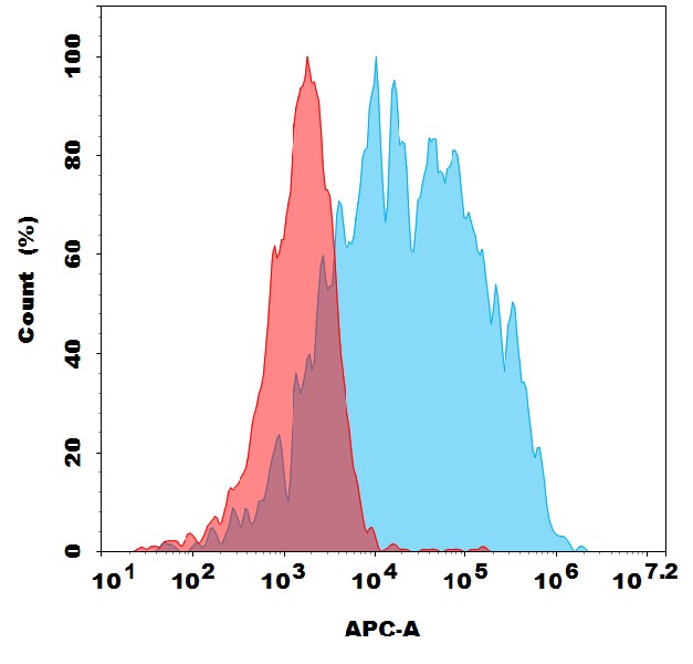 Anti-NRP1 antibody(1F11), Rabbit mAb