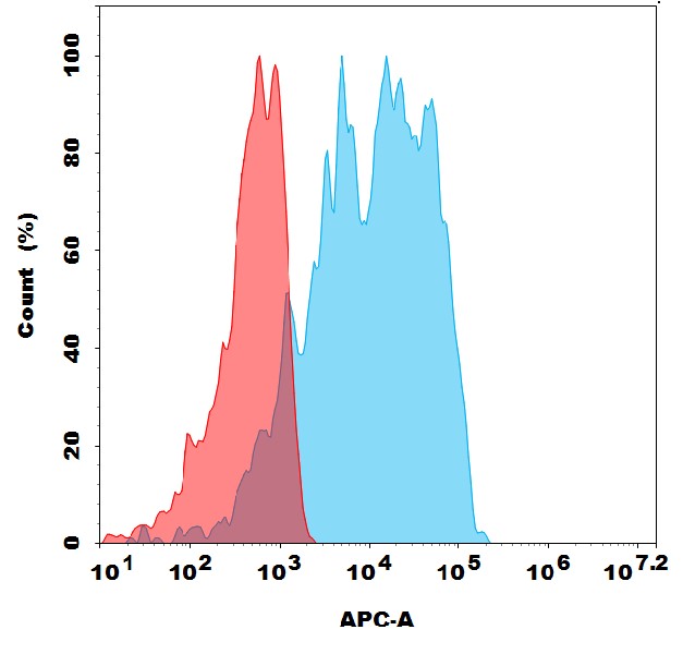 Anti-ADAM15 antibody(1G8), Rabbit mAb