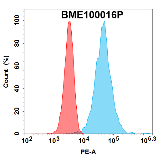 PE-conjugated Anti-BCMA (biosimilar) mAb