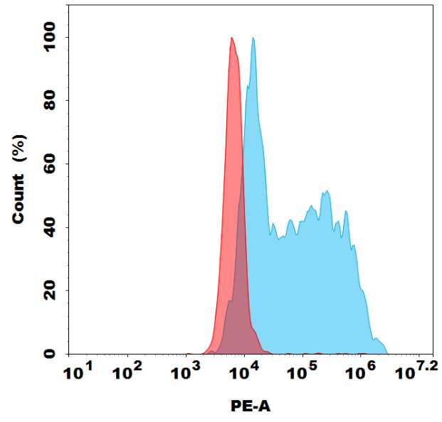 PE-conjugated Anti-BAFFR (ianalumab biosimilar) mAb PE-conjugated Anti-BAFFR (ianalumab biosimilar) mAb