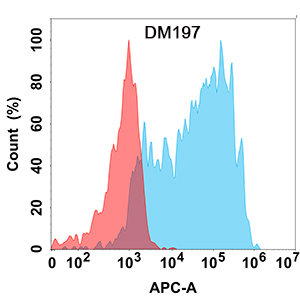 Anti-CCR8 antibody(DM197), Rabbit mAb