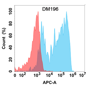 Anti-CCR8 antibody(DM196), Rabbit mAb