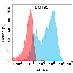 Anti-CCR8 antibody(DM195), Rabbit mAb