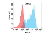 Anti-CCR8 antibody(DM180), Rabbit mAb