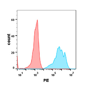 Anti-CD19 (inebilizumab biosimilar) mAb