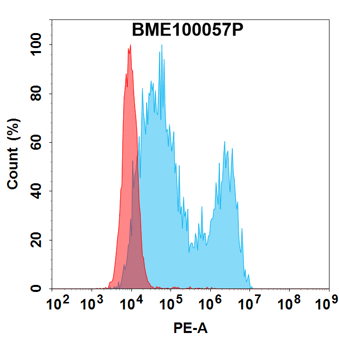 PE-conjugated Anti-HER3 (patritumab biosimilar)mAb