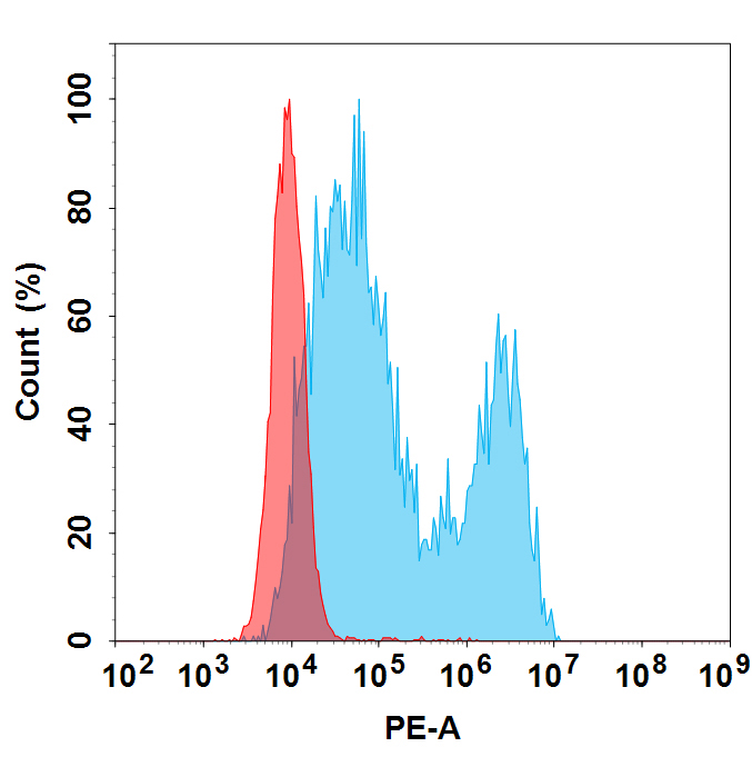 PE-conjugated Anti-HER3 (patritumab biosimilar)mAb