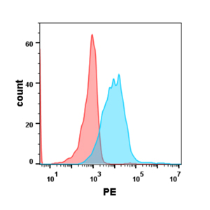 Anti-GPRC5D (Talquetamab biosimilar) mAb