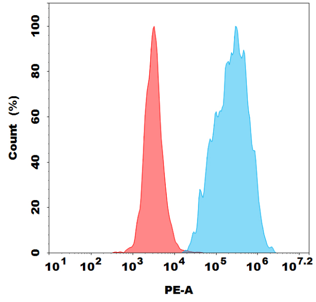 PE-conjugated Anti-CLDN18.2 (zolbetuximab biosimilar) mAb
