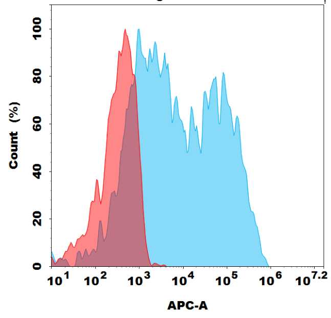 Biotinylated Anti-TSHR (K1-70) mAb