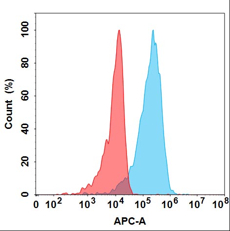 Anti-NRP1(vesencumab biosimilar) mAb