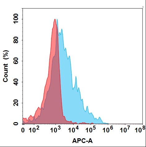 Anti-APP(aducanumab biosimilar) mAb