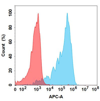 Anti-GP6(glenzocimab biosimilar) mAb