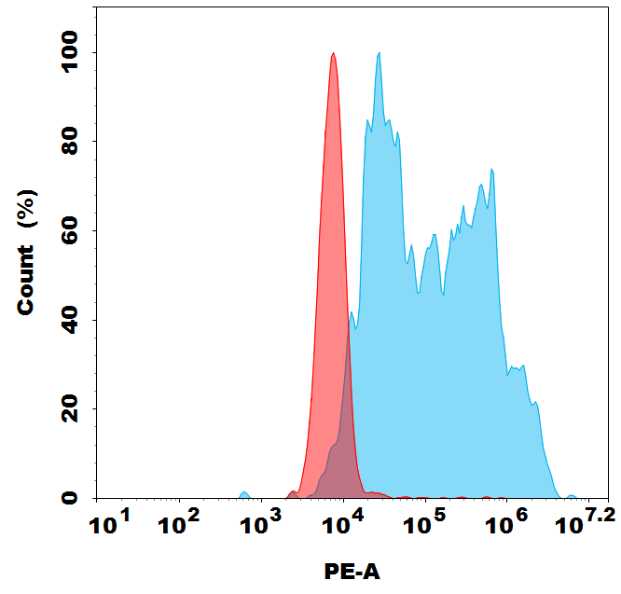 PE-conjugated Anti-PDL1 (durvalumab biosimilar) mAb