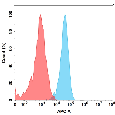 Anti-CLDN6 (IMAB027) mAb