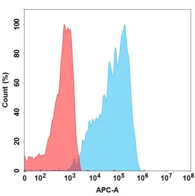 Anti-CCR2(plozalizumab biosimilar) mAb