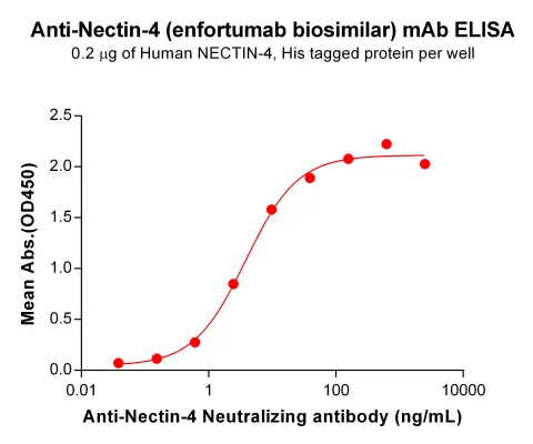 Anti-Nectin-4(enfortumab biosimilar) mAb