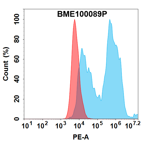PE-conjugated Anti-FCRL5(cevostamab biosimilar without anti-CD3 portion) mAb