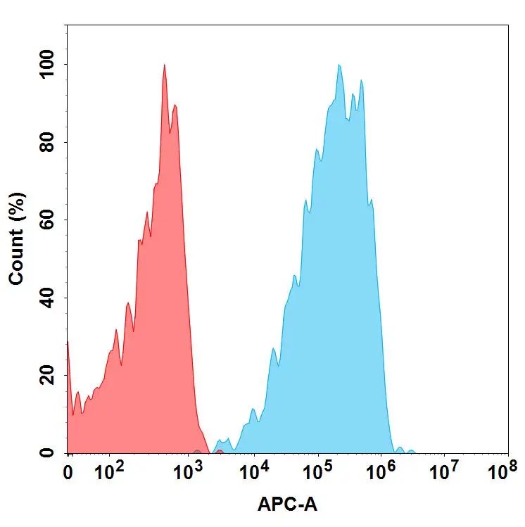 Anti-CD19(FMC63 biosimilar) mAb