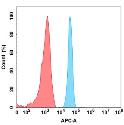 Anti-NOTCH3(tarextumab biosimilar) mAb