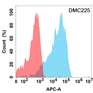 Anti-IL21R antibody(DMC225), IgG1 Chimeric mAb