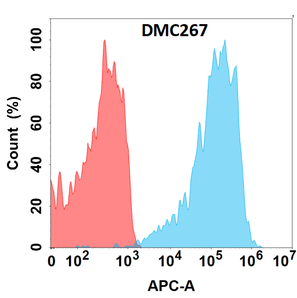 Anti-TNFSF11 antibody(DMC267), IgG1 Chimeric mAb