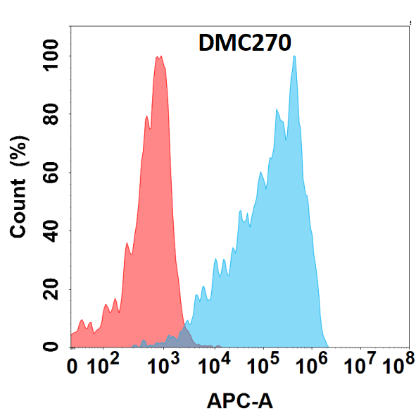 Anti-CD160 antibody(DMC270), IgG1 Chimeric mAb