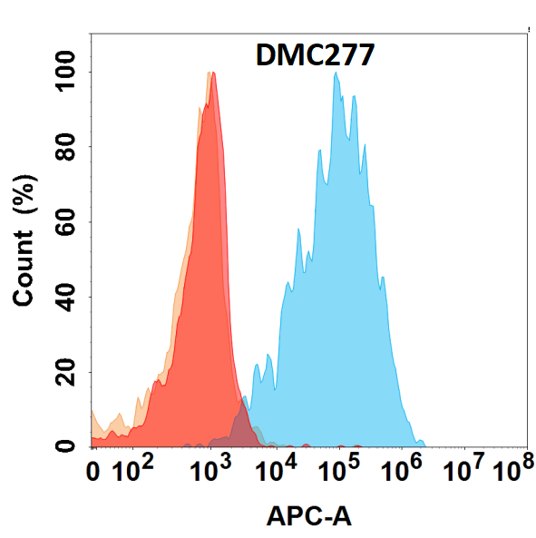 Anti-LGALS1 antibody(DMC277), IgG1 Chimeric mAb